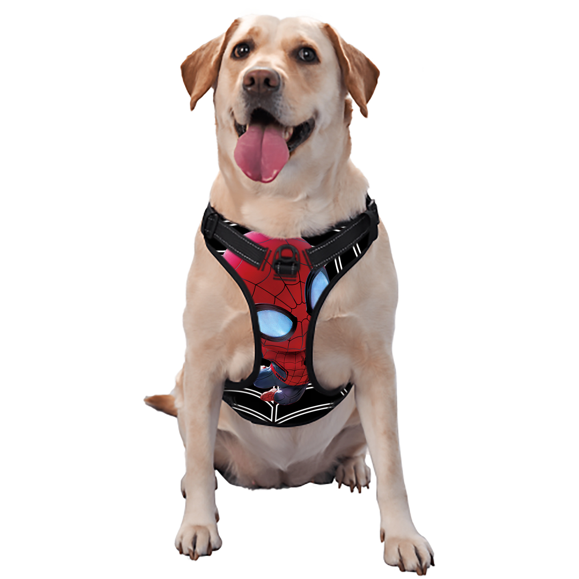 （画像用） Spider Man スパイダーマン ペット用ハーネス